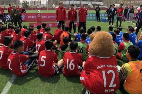 足球爆料计划最新,独家内幕，带你领略绿茵场风云变幻